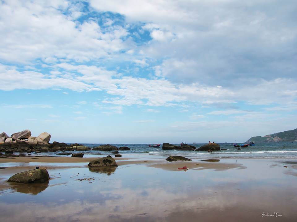 bai goc dong hoa phu yen