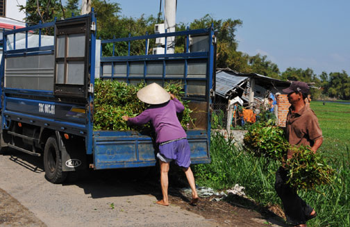 Dịch Vụ Vận Tải Hàng Hóa Tại Phú Hòa